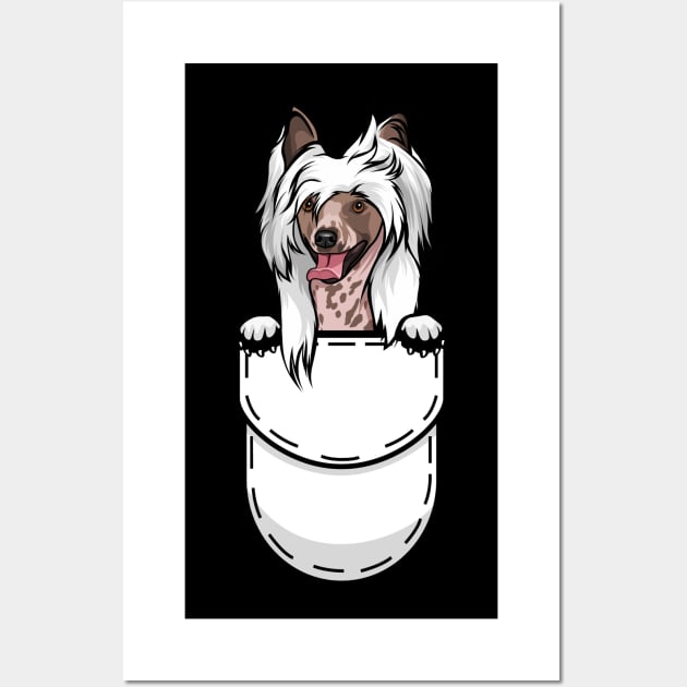 Funny Chinese Crested Pocket Dog Wall Art by Pet My Dog
